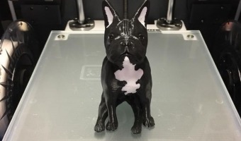 3d printed dual extruded dog