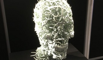 3d printed head