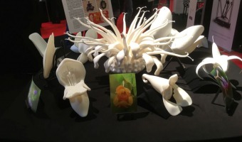 3d printed flowers