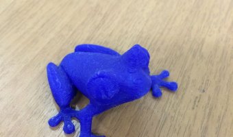 3d printed frog