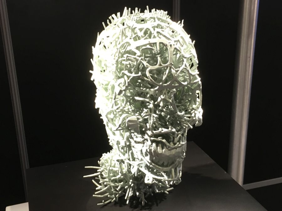 3d printed head