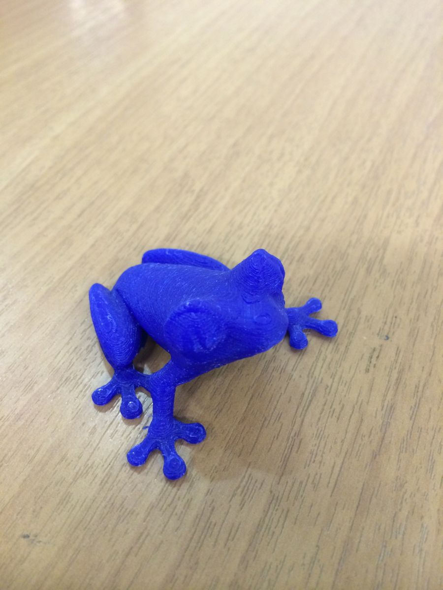 3d printed frog