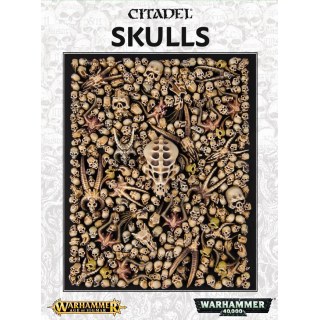 CITADEL SKULLS 64-29