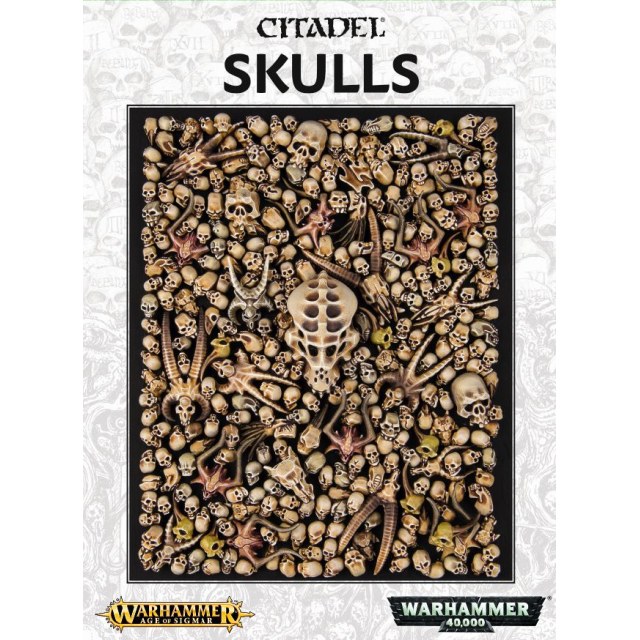 CITADEL SKULLS 64-29