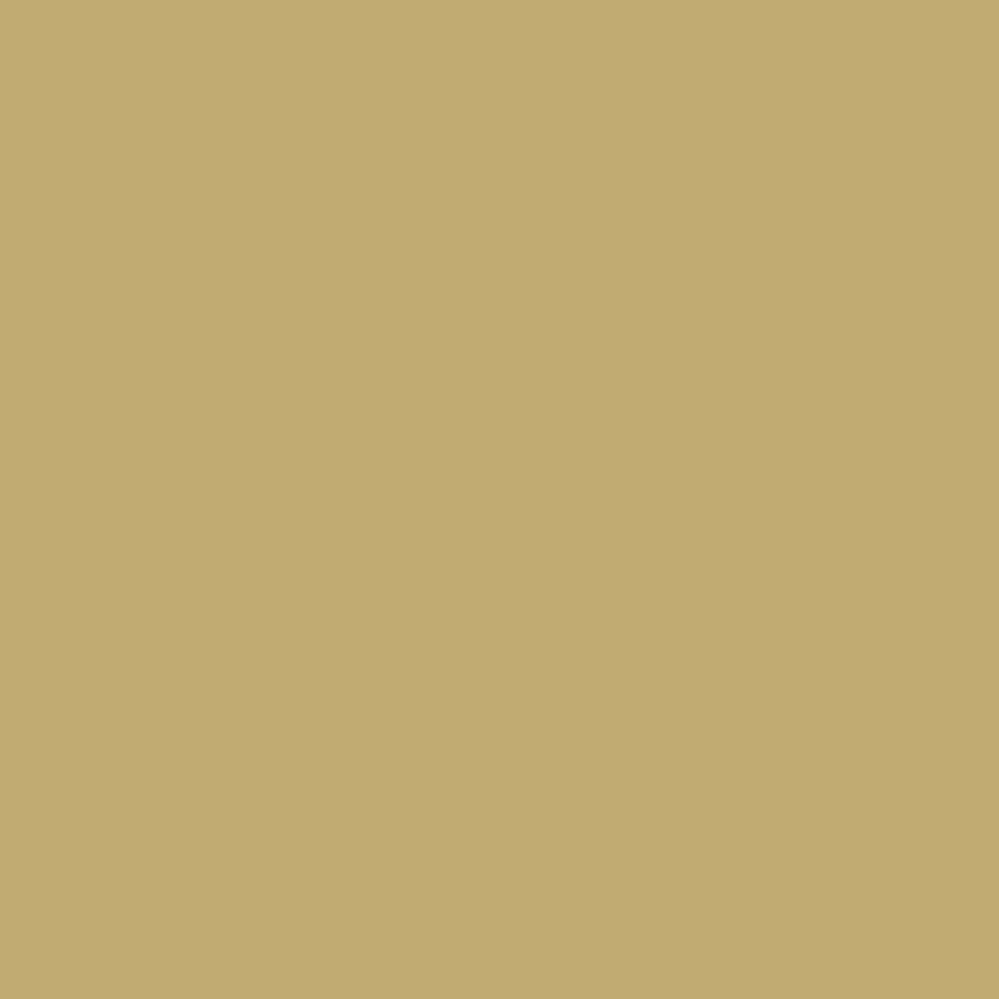 POLYMAKER BEIGE